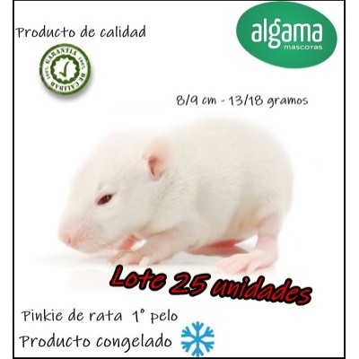  Lote 25 unidades Pinky de rata (primer pelo) Alimento congelado